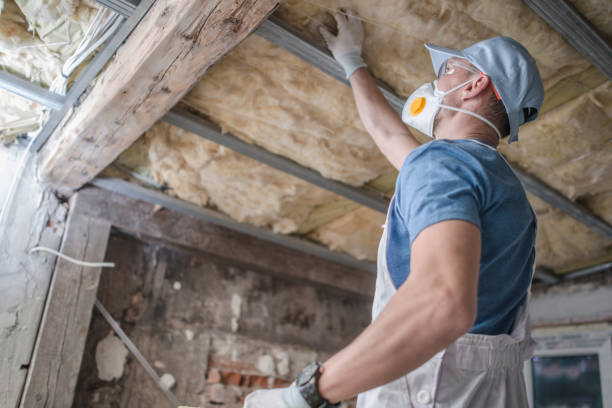 Best Types of Insulation in Gulf Park Estates, MS