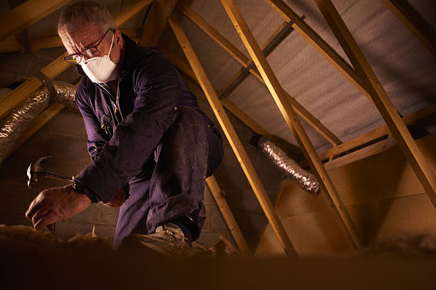 Best Insulation Materials and Products in Gulf Park Estates, MS